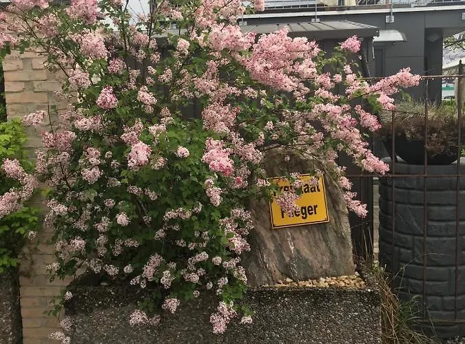 Appartement Tiny House Black Pearl